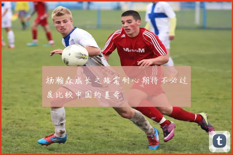 杨瀚森成长之路需耐心期待不必过度比较中国约基奇