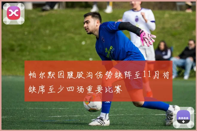 帕尔默因腹股沟伤势缺阵至11月将缺席至少四场重要比赛