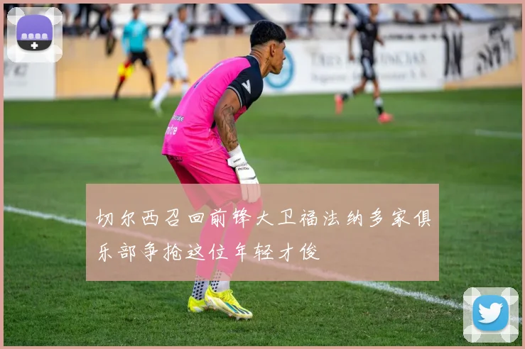切尔西召回前锋大卫福法纳多家俱乐部争抢这位年轻才俊